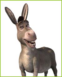 donkey.jpg